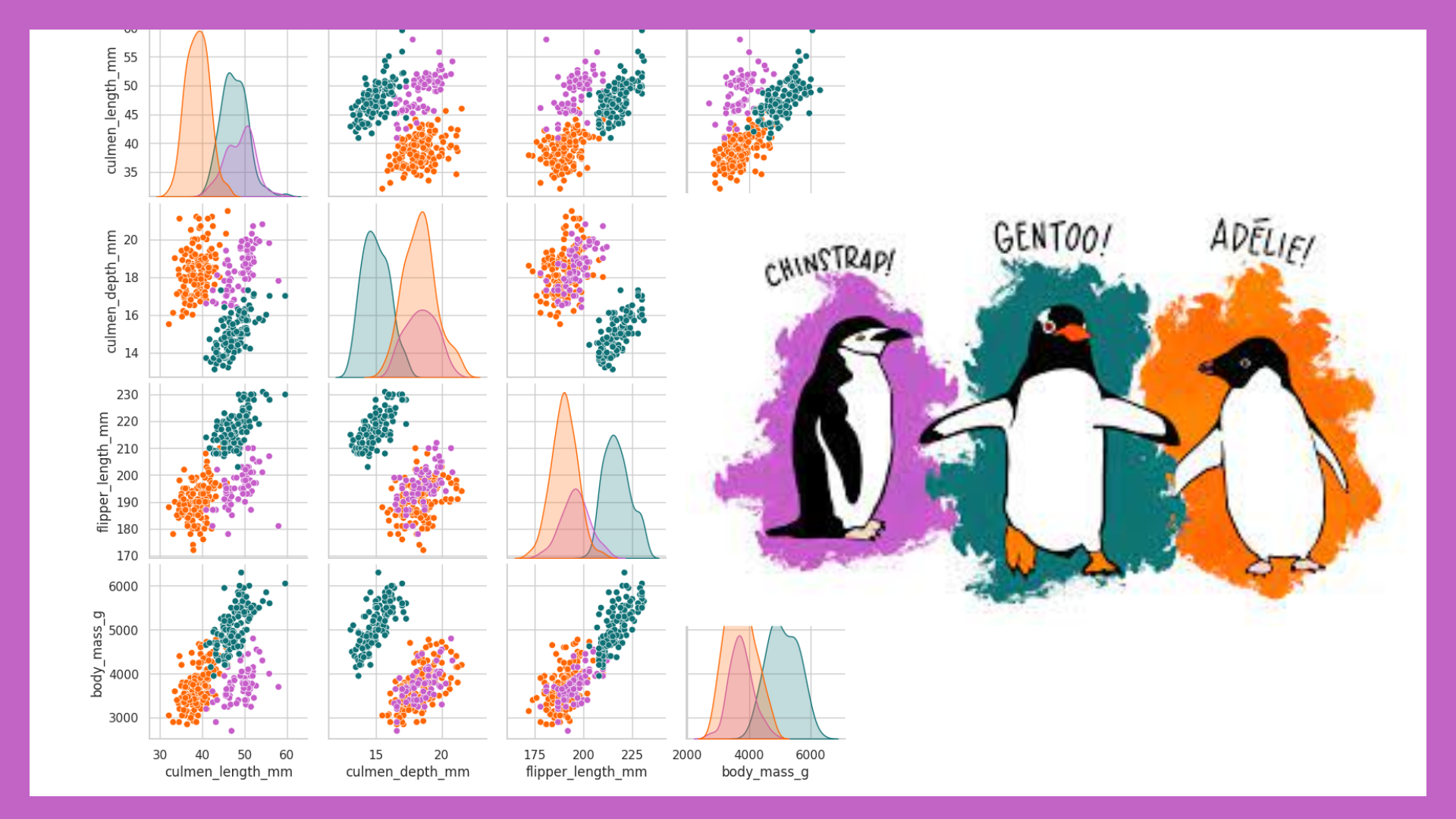 Penguin Dataset EDA